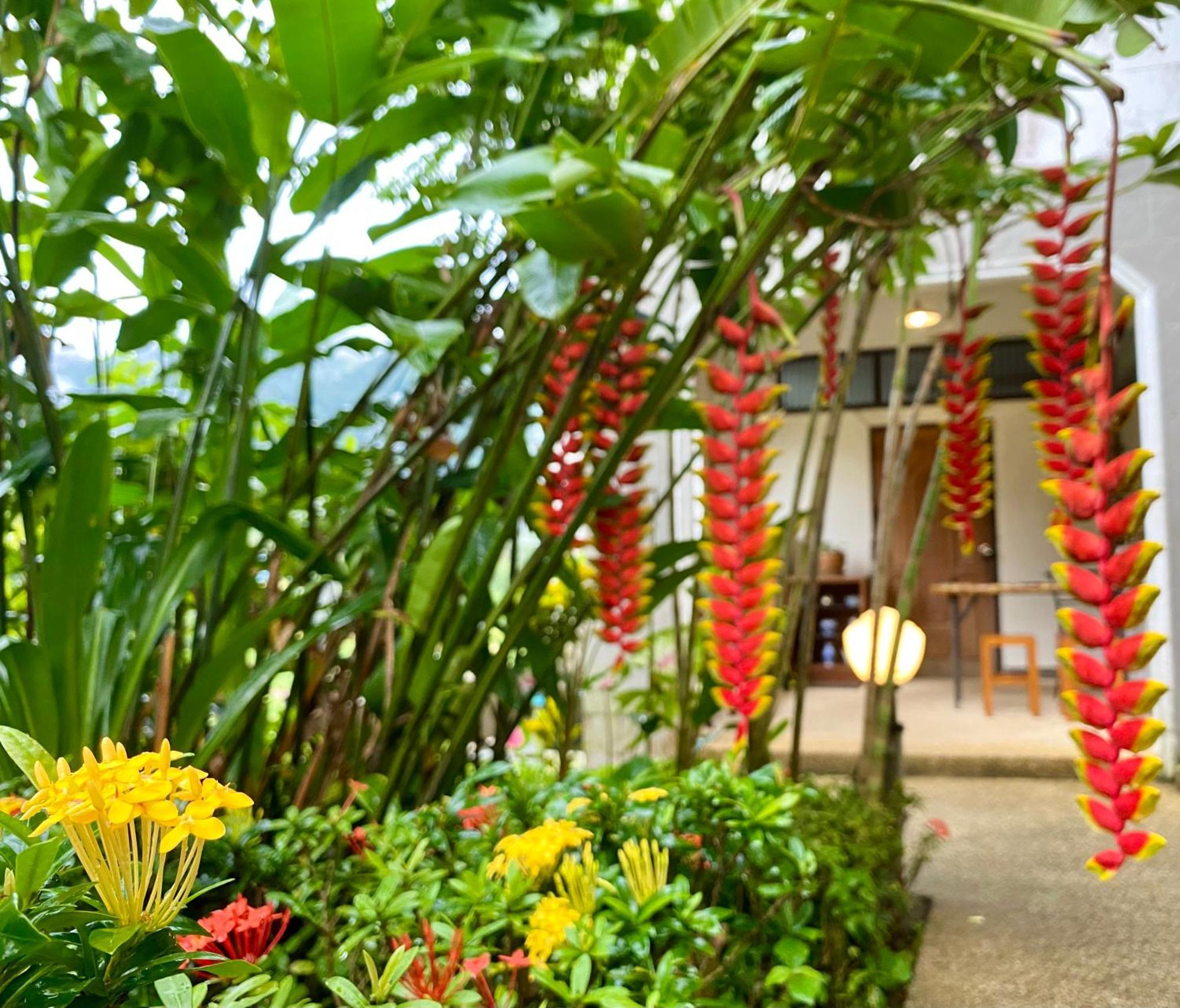 Guesthouse 88 攀牙府 外观 照片